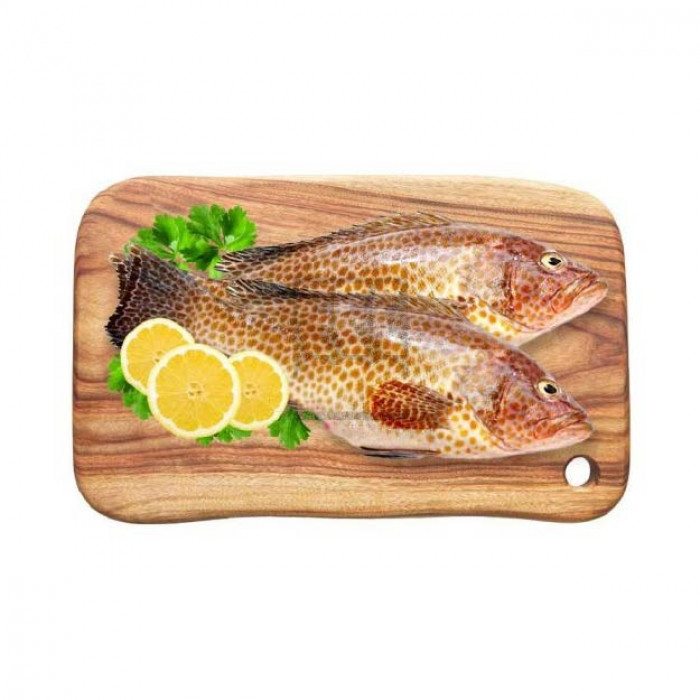 HAMOUR MEDIUM - 100g (Aproox)